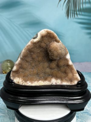收藏特殊精品-烏拉圭天然黃色糖霜變種花意象